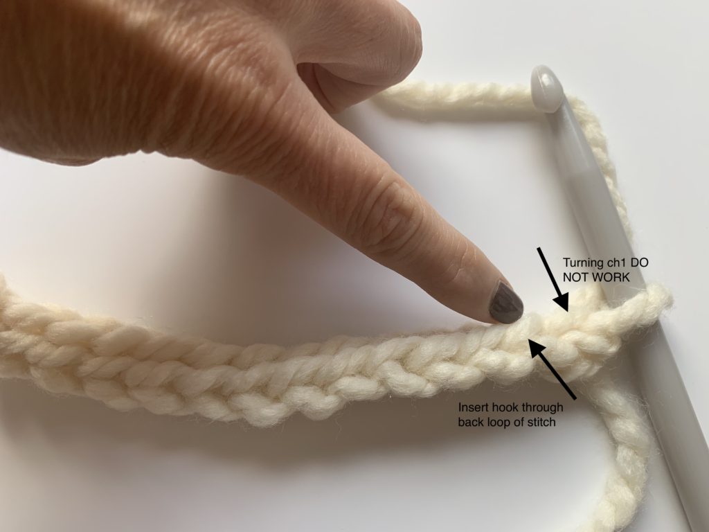 Photo tutorial for where to insert stitches in the back loop only.
